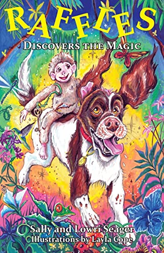 Raffles: Discovers the Magic: 1 - Bricolage & Outils Amazon Royaume-Uni à 2.04€