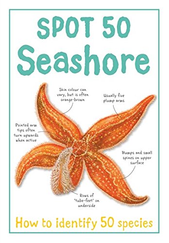 Spot 50 Seashore - Maison & Cuisine Amazon Royaume-Uni à 1.83€