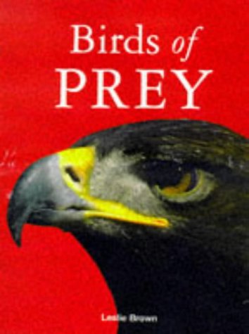 Birds of Prey - Livres & eBooks Amazon Royaume-Uni à 6.97€