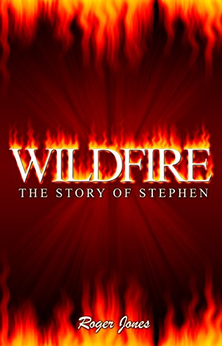 Wildfire: The Story of Stephen - Livres & eBooks en promo à 0.88€