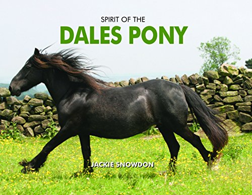 Spirit of the Dales Pony - Livres & eBooks Amazon Royaume-Uni à 1.80€