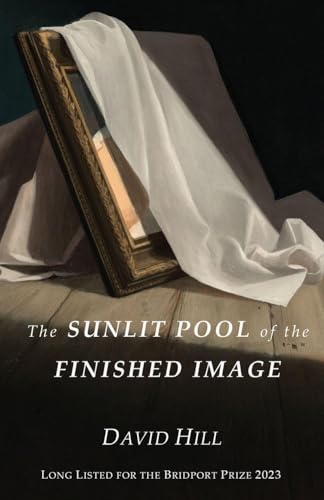 The Sunlit Pool of the Finished Image - Bon plan à 4.70€