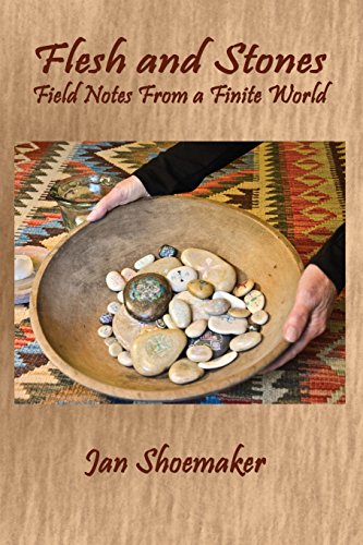 Flesh and Stones: Field Notes from a Finite World: 6... - Amazon Royaume-Uni à 3.78€