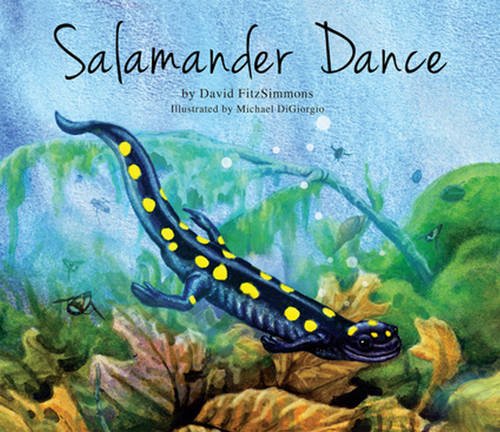 Salamander Dance - Musique & Instruments Amazon Italie à 21.68€
