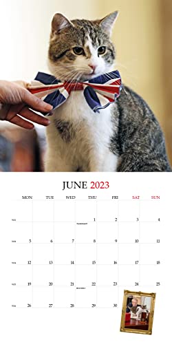 Larry The Cat: The 2023 Chief Mouser Calendar - High-Tech & Électronique Amazon Royaume-Uni à 6.11€