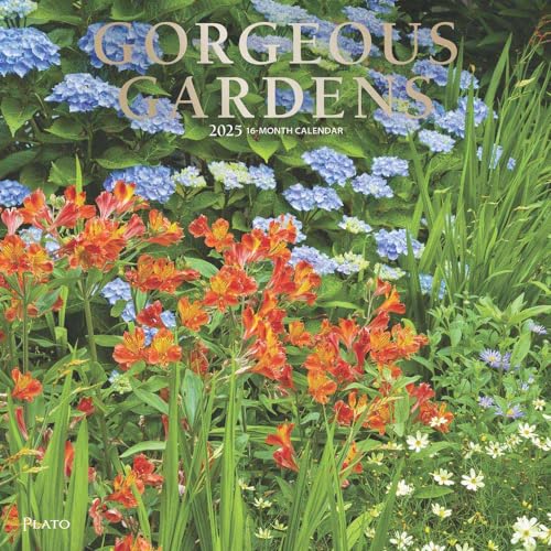 Gorgeous Gardens | 2025 12 x 24 Inch Monthly Square Wall... - Garden & Outdoor Amazon UK à 5.52€