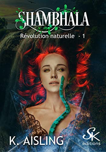 Révolution naturelle 1: Tome 1, Shambhala - Bon plan à 3.59€