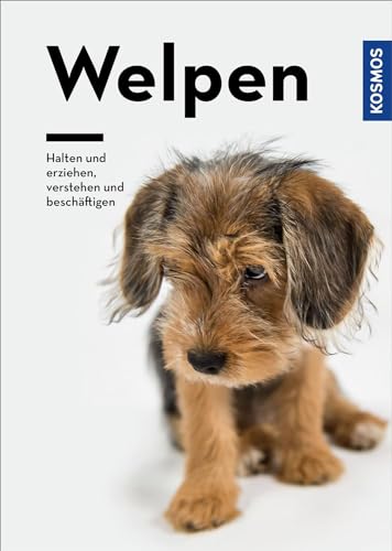 Welpen: Halten und erziehen, verstehen und beschäftigen - Amazon Italie à 18.96€