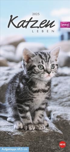 Whiskas Katzenleben Kalender 2025: Süße Kätzchen in allen... - Animalerie Amazon Allemagne à 3.80€