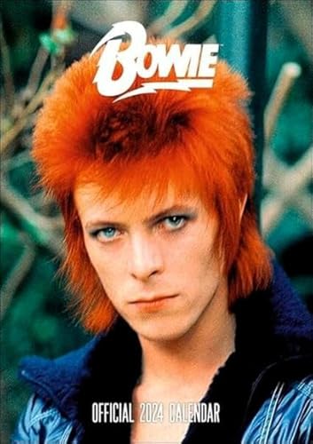 DAVID BOWIE POSTER CALENDAR 2024 The poster calendar with... - Erreur de prix -78% à 4.14€