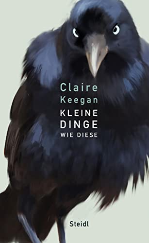 Kleine Dinge wie diese - Amazon Espagne à 6.42€