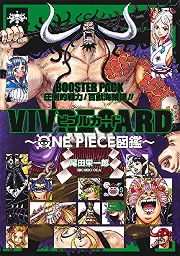 VIVRE CARD ~ONE PIECE図鑑~ BOOSTER PACK 圧倒的戦力! 百獣海賊団!! (コミックス) - Auto & Moto Amazon Espagne à 7.88€