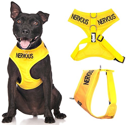Nervous (Give Me Space) Harnais de Code Couleur Jaune pour... - Animalerie Amazon France à 17.66€