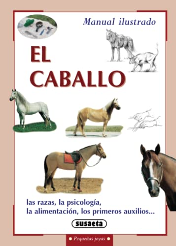 El caballo (Pequeñas Joyas) - Sports & Fitness Amazon UK à 5.18€