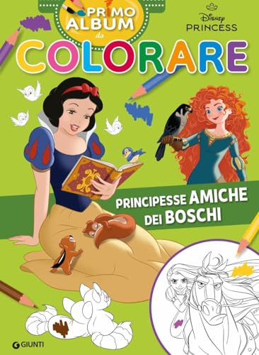 Principesse amiche dei boschi. Primo album da colorare.... - Auto & Moto Amazon Italie à 3.12€