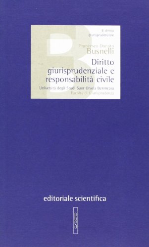Diritto giurisprudenziale e responsabilità civile - Home & Kitchen Amazon Italy à 3.41€