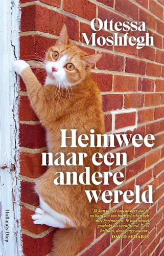 Heimwee naar een andere wereld: verhalen - Livres & eBooks Amazon Allemagne à 18.34€