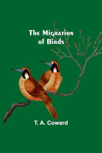 The Migration of Birds en promo sur Amazon