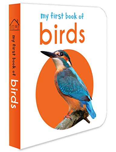 My First Book Of Birds: First Board Book - Livres & eBooks Amazon Royaume-Uni à 1.99€