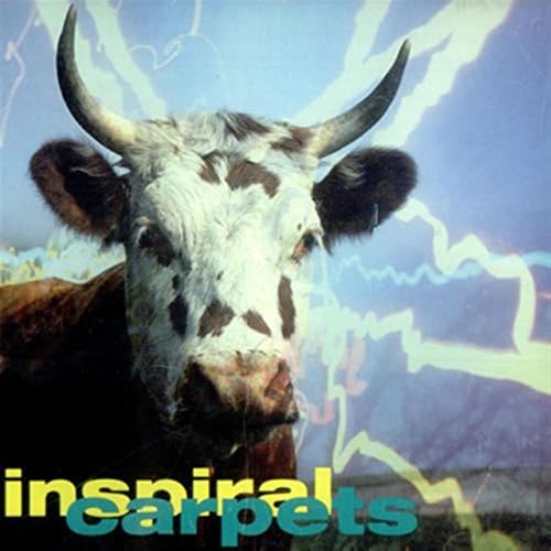 Commercial Rain - Musique & Instruments Amazon Italie à 9.32€