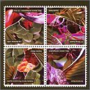 Terrestrial Music/Eclectic-Set - Musique & Instruments Amazon Allemagne à 17.37€