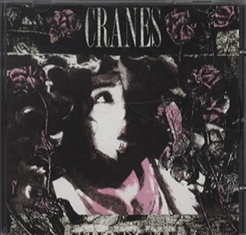 Self Non Self - Musique & Instruments Amazon Italie à 13.88€