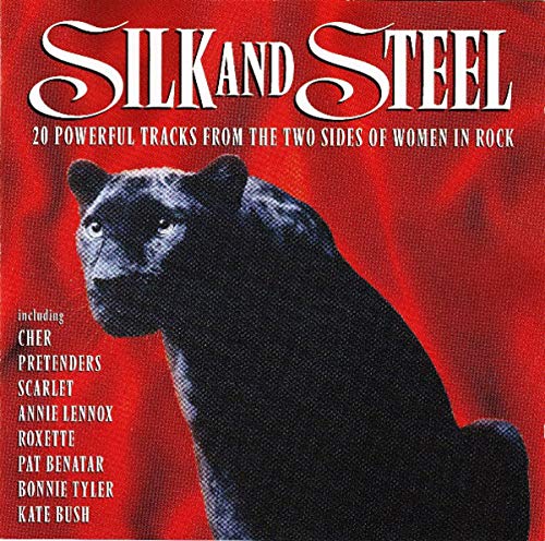 Silk And Steel - Musique & Instruments en promo à 6.07€