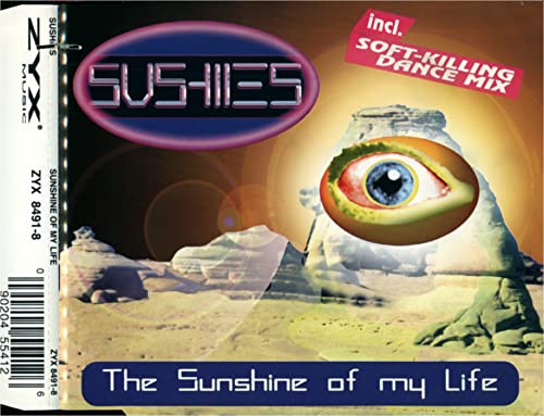 Sunshine of My Life - Musique & Instruments Amazon Allemagne à 42.17€