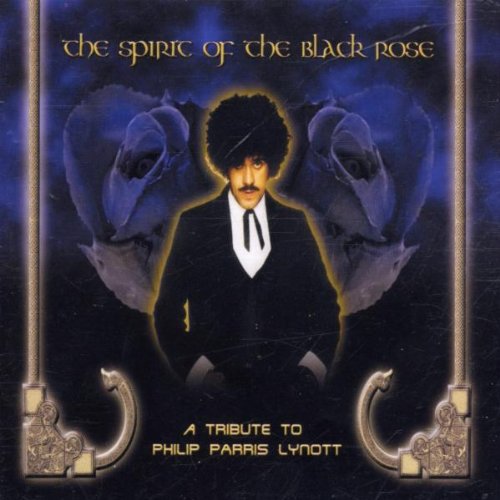 Spirit of The Black Rose (Record Heaven Tribute) - Nouvelle promo Amazon à 11.44€