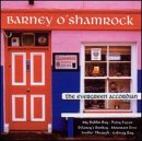 Evergreen Accordion - Musique & Instruments Amazon Espagne à 80.47€