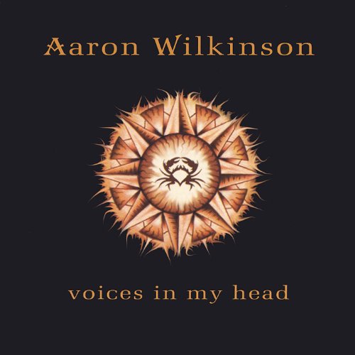 Voices in My Head - Musique & Instruments Amazon Allemagne à 9.08€