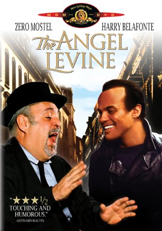 Angel Levine [Import USA Zone 1] - Jeux Vidéo & Consoles Amazon France à 19.91€