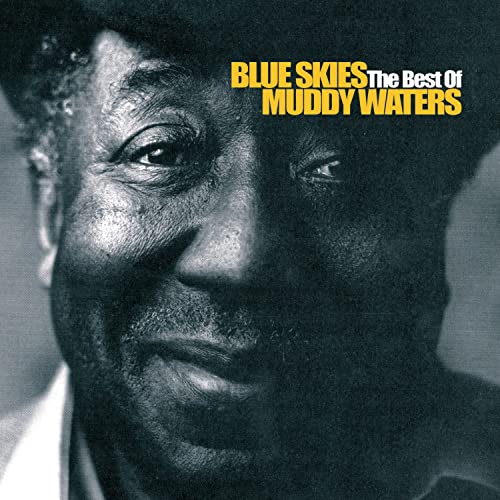Blue Skies-the Best of Muddy Waters - Sports & Fitness en promo à 1.81€