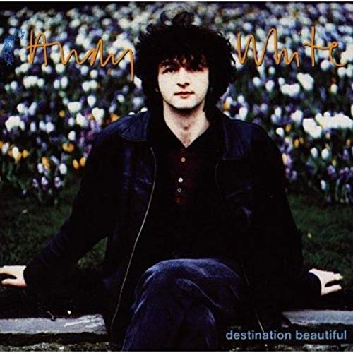 Destination beautiful (1994) en promo sur Amazon