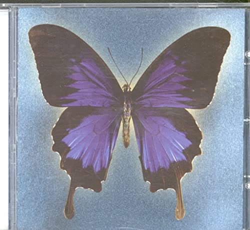 Laughter Through Tears - Musique & Instruments Amazon France à 2.26€