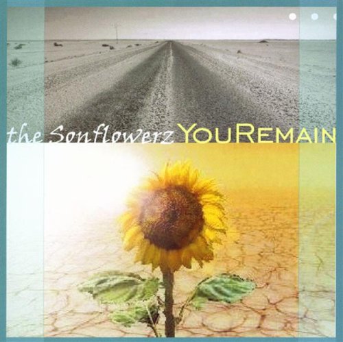 You Remain - Musique & Instruments en promo à 39.39€
