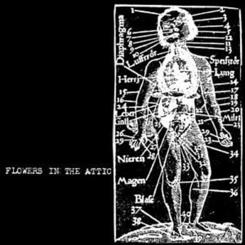 Flowers In The Attic - Flowers In The Attic - Jardin & Extérieur Amazon Allemagne à 10.95€