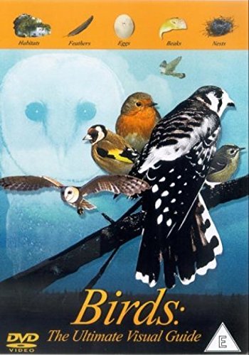 The Birds - The Ultimate Visual Guide [DVD] - Bricolage & Outils Amazon Royaume-Uni à 1.20€