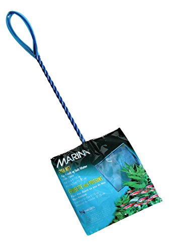 Marina Aquarienkescher, feinmaschig, 10cm, blau - Amazon Allemagne à 2.78€