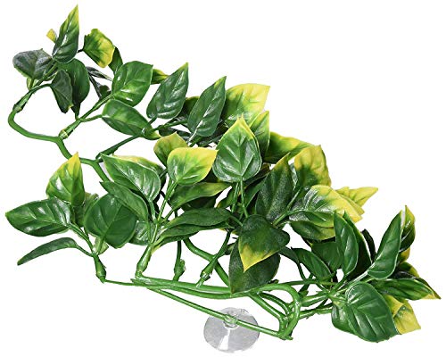 Exoterra Plante de Décoration Amapallo en Plastique pour... - Jardin & Extérieur en promo à 10.41€