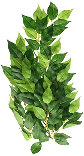 Exo Terra PT3040 plantes pour terrarium - ficus medium en promo à 7,99€ (-43%) sur Amazon FR