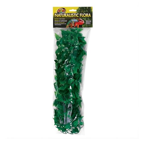 Zoo Med Planta PLASTICO Mexican Phyllo Mediana Planta para... - Jardin & Extérieur Amazon Espagne à 17.35€