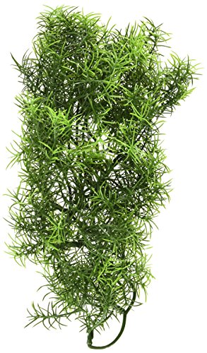 Zoo Med BU-28 Medium Cashuarina Kunststoffpflanze zur... - Bon plan à 4.86€