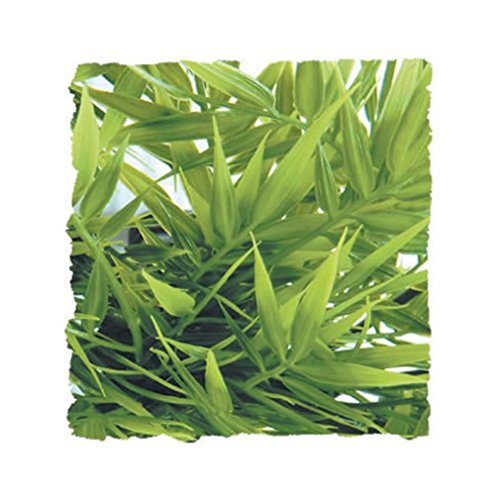 Zoo Med BU-29 Medium Madagascar Kunststoffpflanze zur... - Maison & Cuisine Amazon Allemagne à 5.30€