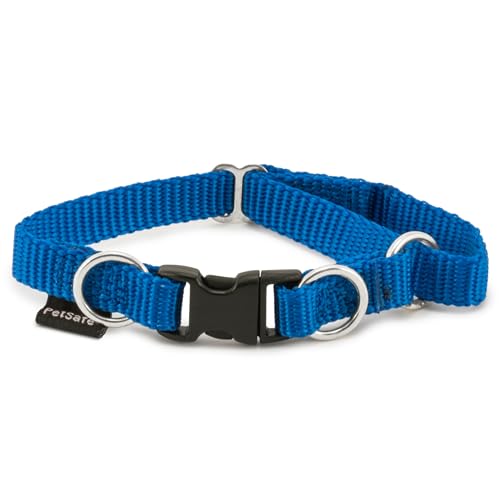 PetSafe KeepSafe strapazierfähiges Halsband - Animalerie Amazon Allemagne à 7.57€