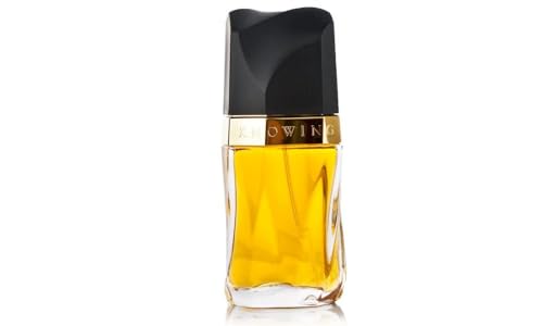 Estee Lauder 2617 - Agua de perfume - Beauté & Parfums en promo à 56.94€