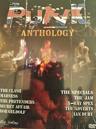Punk anthology - Musique & Instruments Amazon Italie à 10.99€