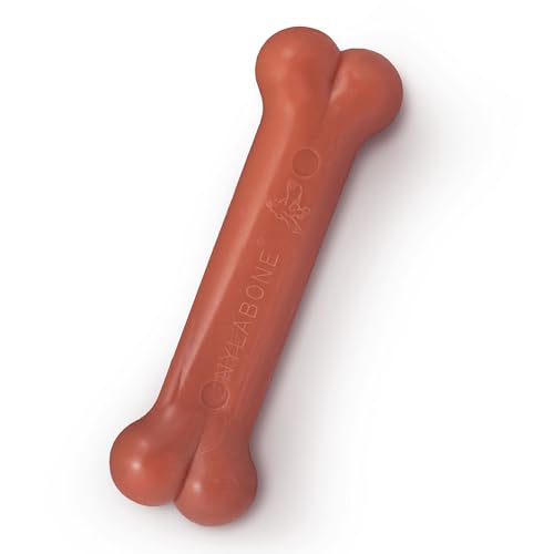 Nylabone Jouet à mâcher résistant Dura, arôme Bacon - Jouet... - Jouets & Jeux en promo à 6.02€