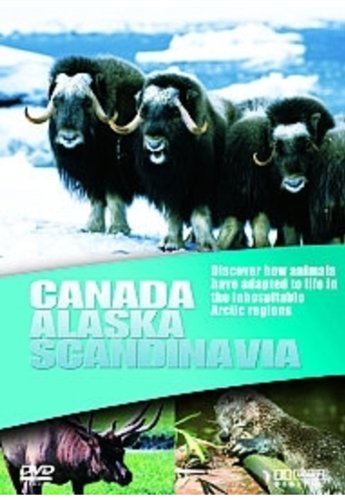 Wildlife - Canada/Alaska/Scandinavia - Livres & eBooks Amazon France à 13.46€