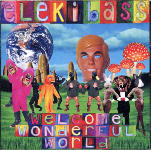 Welcome Wonderful World - Musique & Instruments Amazon Italie à 31.50€